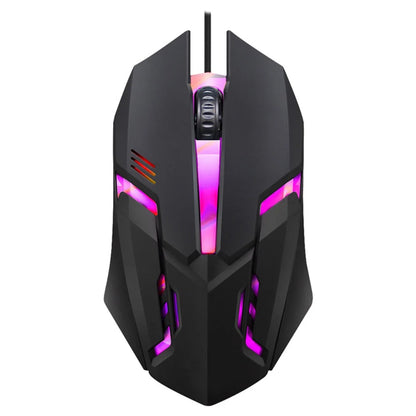 souris filaire noire